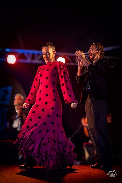 flamenco (84)